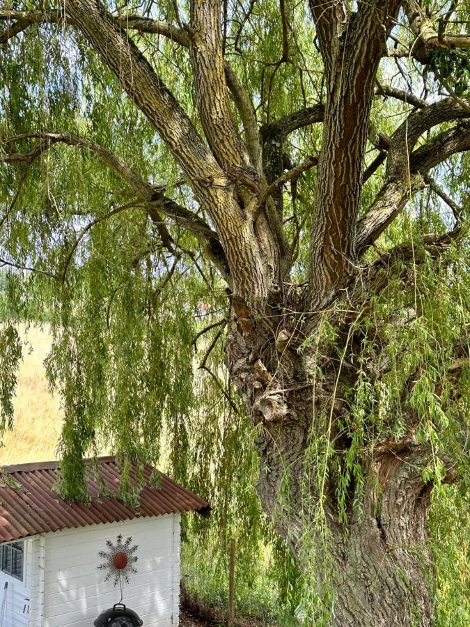 Maison Bourbonnaise Idealement Placee Proche Du Centre Ville De Moulins Neuvy  Екстериор снимка